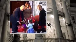 HALLOWEEN 2017 | Paianjeni uriaşi 
