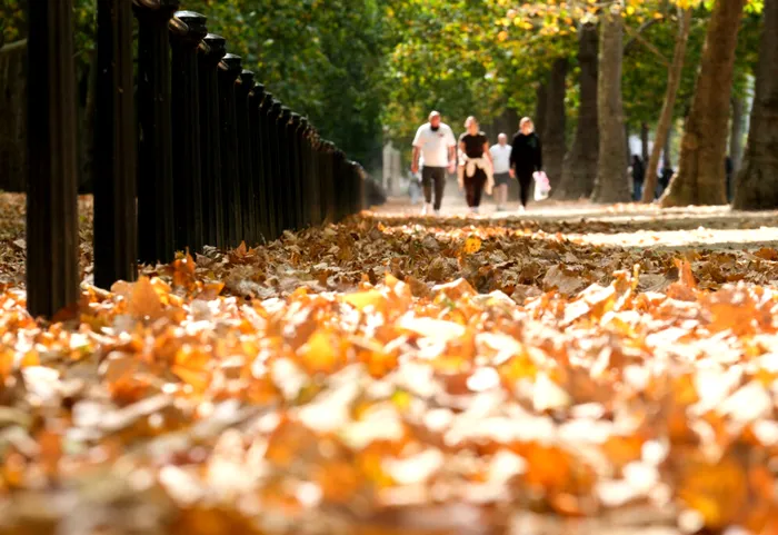 HARTĂ Prognoza meteo pentru următoarele patru săptămâni: toamna începe cu temperaturi peste normal. Ce arată estimările ANM până în octombrie