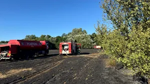 Incendiu de vegetație în Ilfov: 7 hectare, o locuință și două mașini afectate