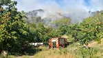 Un incendiu de vegetație s-a extins către o pădure și amenință animale și locuințe, în județul Tulcea. Pompierii intervin pentru lichidare