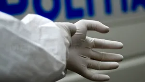 Cluj: Fragmente dintr-un cadavru uman, descoperite la liziera pădurii Hoia