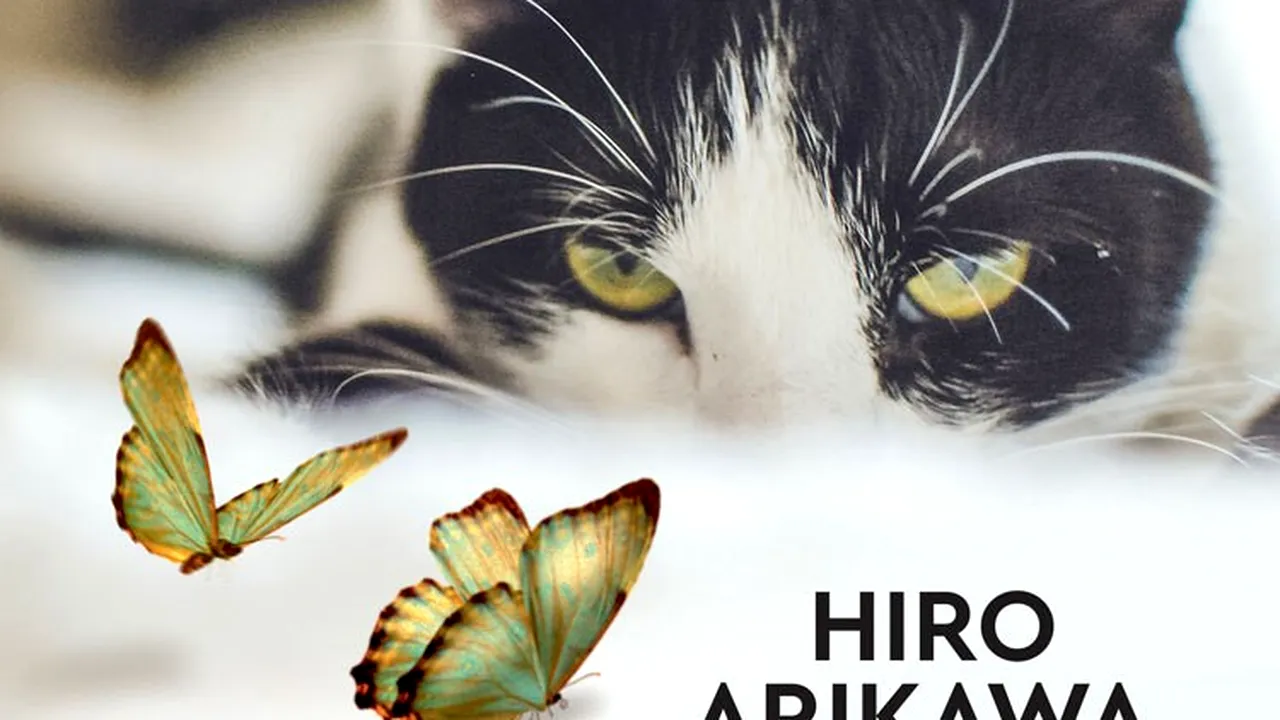 O carte pe zi: „Memoriile unui motan călător” de Hiro Arikawa