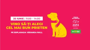 Vrei să adopţi un căţel? O poţi face la târgul de adopţii ASPA de la Veranda Mall