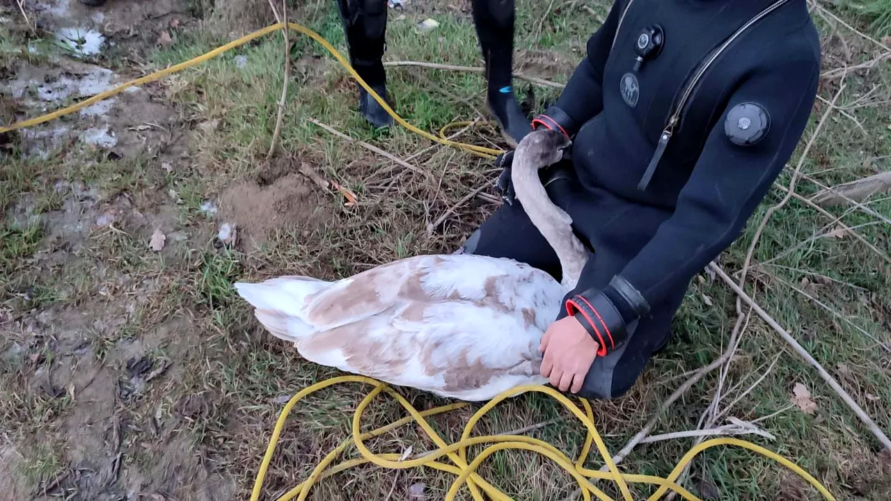 Misiune inedită a poliţiştilor de frontieră din Iaşi
