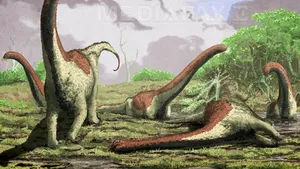 Rămăşiţele unei noi specii de dinozaur uriaş, descoperite în Tanzania