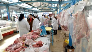 PAŞTE 2017. Piaţa este supraîncărcată cu miei, după ce exporturile au scăzut cu o treime. Preţul, în scădere