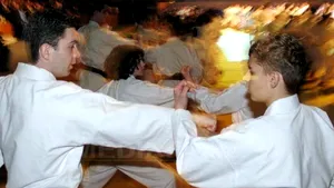 Clubul Chelsea Bucureşti a organizat finalele CN de Karate Tradiţional Shotokan Fudokan