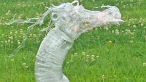 Artă din plasticul aruncat în mare. „Oceanul ne trimite semne ale propriei suferinţe”