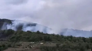 Incendiu de vegetație în Caraș-Severin. Elicopter Black Hawk, trimis să stingă focarele din Slatina-Timiș