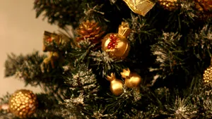 Ce jucării îşi caută locul sub bradul de Crăciun: animale interactive şi elicoptere radiocomandate