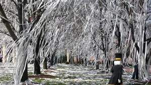 Hârtia igenică din Bejing, protejată de un sistem de recunoaştere facială