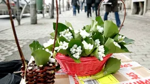 Cum va fi VREMEA până pe 1 martie. Prognoza meteo pentru fiecare regiune a ţării