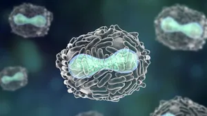 Vector, un laborator din Rusia care deţine mostre de viruşi precum Ebola, HIV şi variolă, zguduit de o explozie. Anunţul autorităţilor