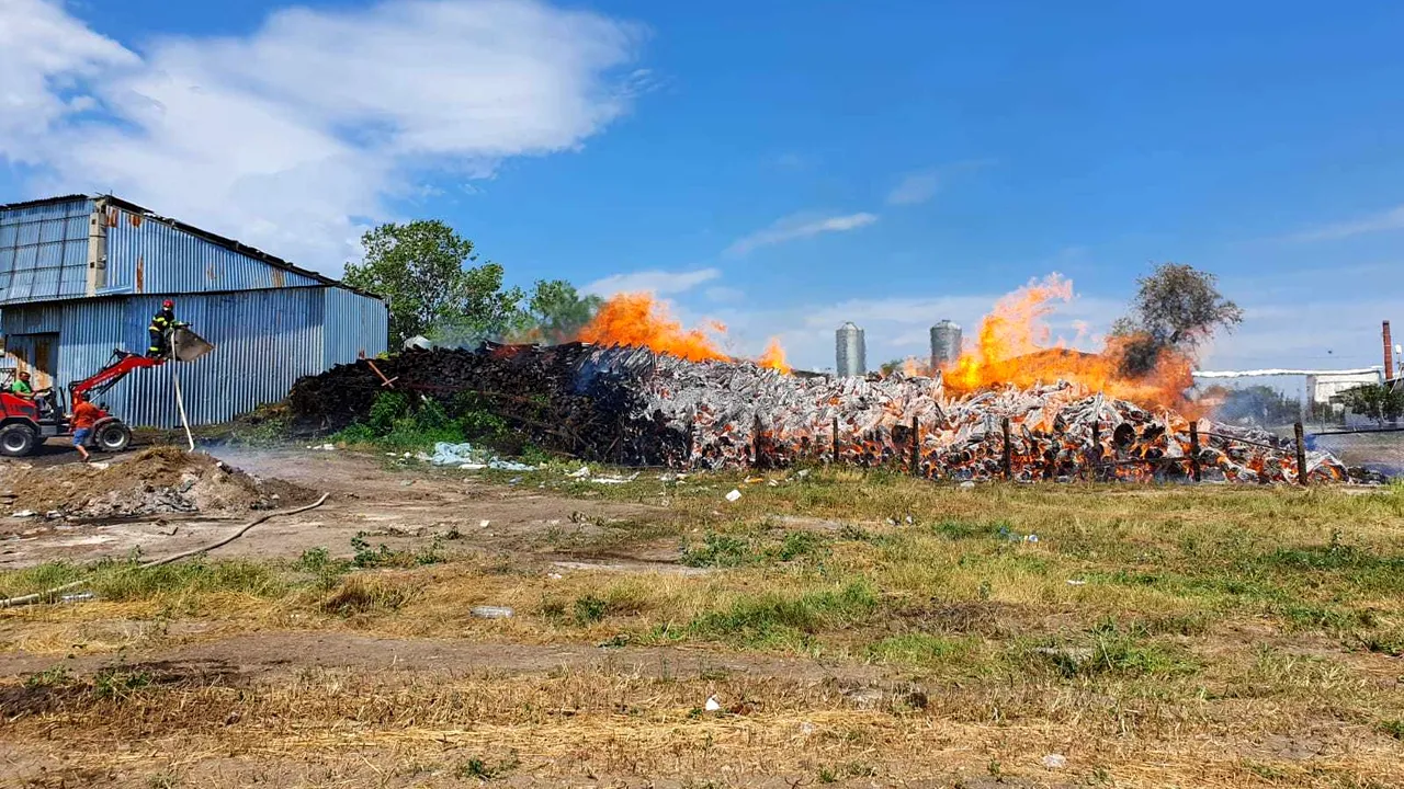 VIDEO: Incendiu puternic la un depozit de lemne din Vaslui. Pompierii luptă împotriva flăcărilor cu şapte autospeciale 