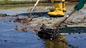 O proprietate a cuplului Jolie-Pitt, ameninţată de o uriaşă pată de petrol, în California