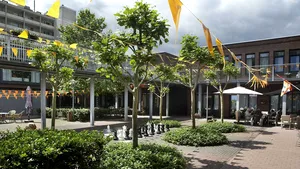 Institutul de Psihiatrie Socola din Iaşi va construi 