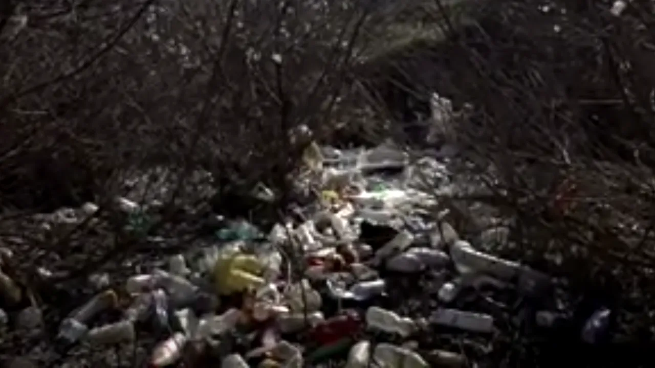 Un râu din Mehedinţi a devenit groapă de gunoi. Tot satul aruncă acolo 