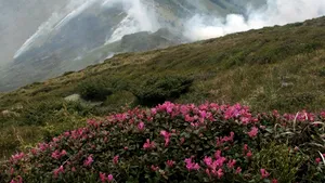 Un nou incendiu a izbucnit în Masivul Parâng