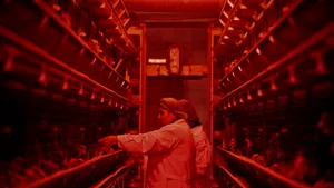 Compania Van Hessen își închide operațiunile din România după patru ani