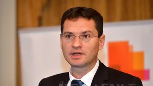 Manolescu: Am propus de trei ori ca TVA la încasare să fie opţională şi a fost respinsă