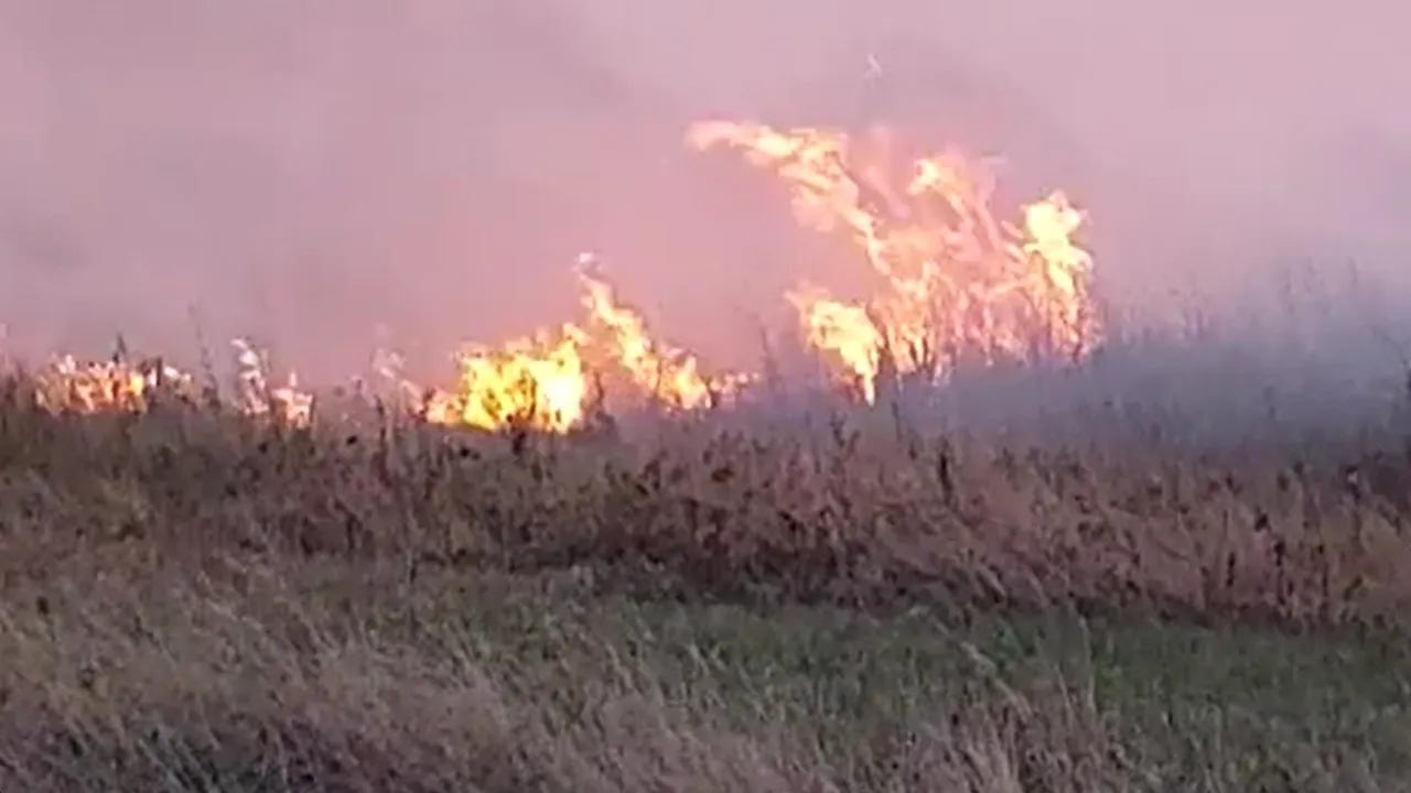 Incendiu puternic în Olt: ard 10 hectare de vegetaţie şi un lan de grâu VIDEO