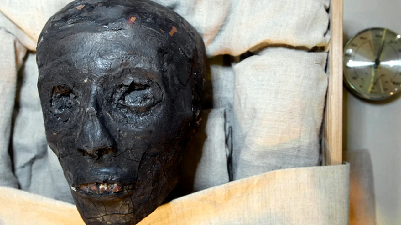 Tutankhamon, ucis de malarie şi de o maladie osoasă - GALERIE FOTO