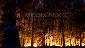 Alertă maximă pentru incendii de vegetaţie în sudul Bulgariei