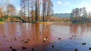 Mister elucidat: Motivul pentru care apa din lacul IOR şi-a schimbat culoarea în roşu