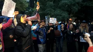 FOTO VIDEO Aproximativ 100 de persoane au protestat, în centrul Capitalei, cu privire la guvernarea PSD