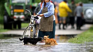 Timiş: Peste patru sute de localnici din oraşul Gătaia, evacuaţi în urma inundaţiilor - GALERIE FOTO