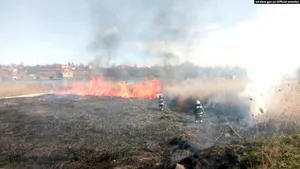 Alertă la Chernobîl: pădurea radioactivă de lângă centrală a luat foc! Ucrainenii au trimis un elicopter şi două avioane