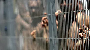 Grecia vrea să-i transfere pe deţinuţii străini, în ţările de origine