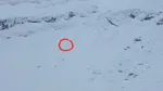 Avalanșă de mari dimensiuni în Munții Făgăraș, declanșată accidental de doi schiori