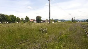 COMENTARIU Lelia Munteanu: Tuturor ne vine rândul la toate