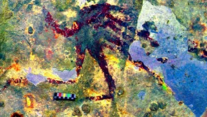 Unde a fost descoperită cea mai veche lucrare de artă din lume, creată în urmă cu 44.000 de ani. FOTO