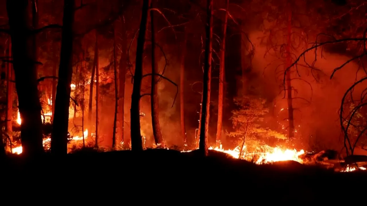 Canicula agravează incendiul de lângă Paris. Franța recurge la o intervenție în premieră