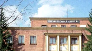 Boc: Minerii disponibilizaţi că vor primi plăţi compensatorii