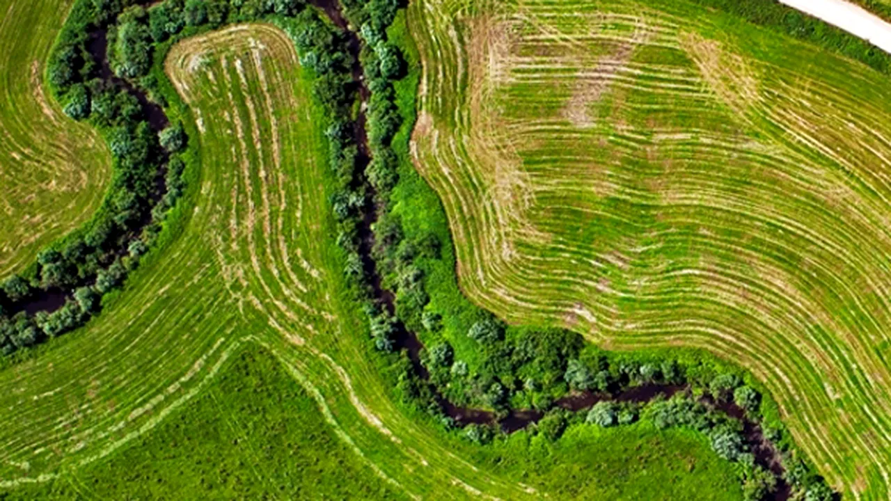 Statul vrea să impoziteze peste 600.000 de agricultori care nu declară venituri