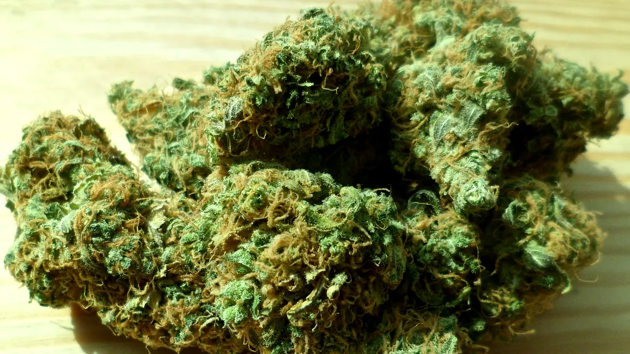 Patru tone de droguri confiscate, în valoare de 625 de milioane lei, au fost distruse de poliţie