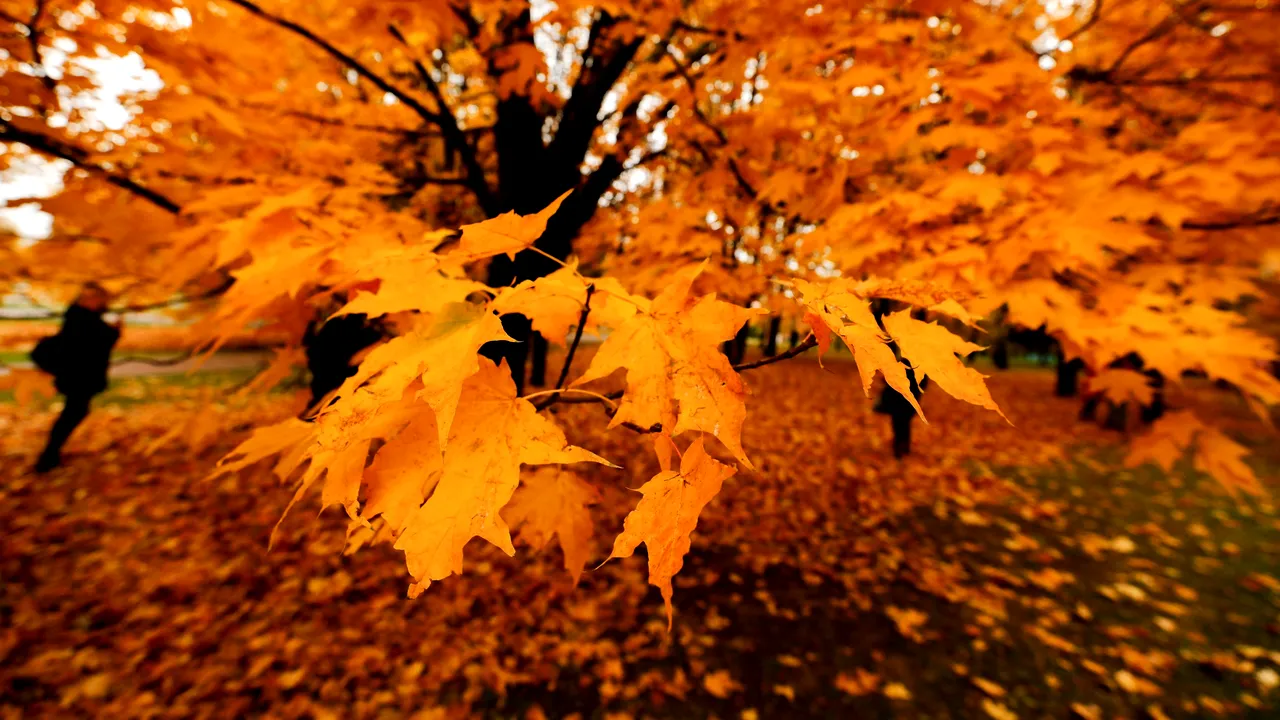Prognoza METEO Cum va fi vremea în ţară, în luna septembrie 