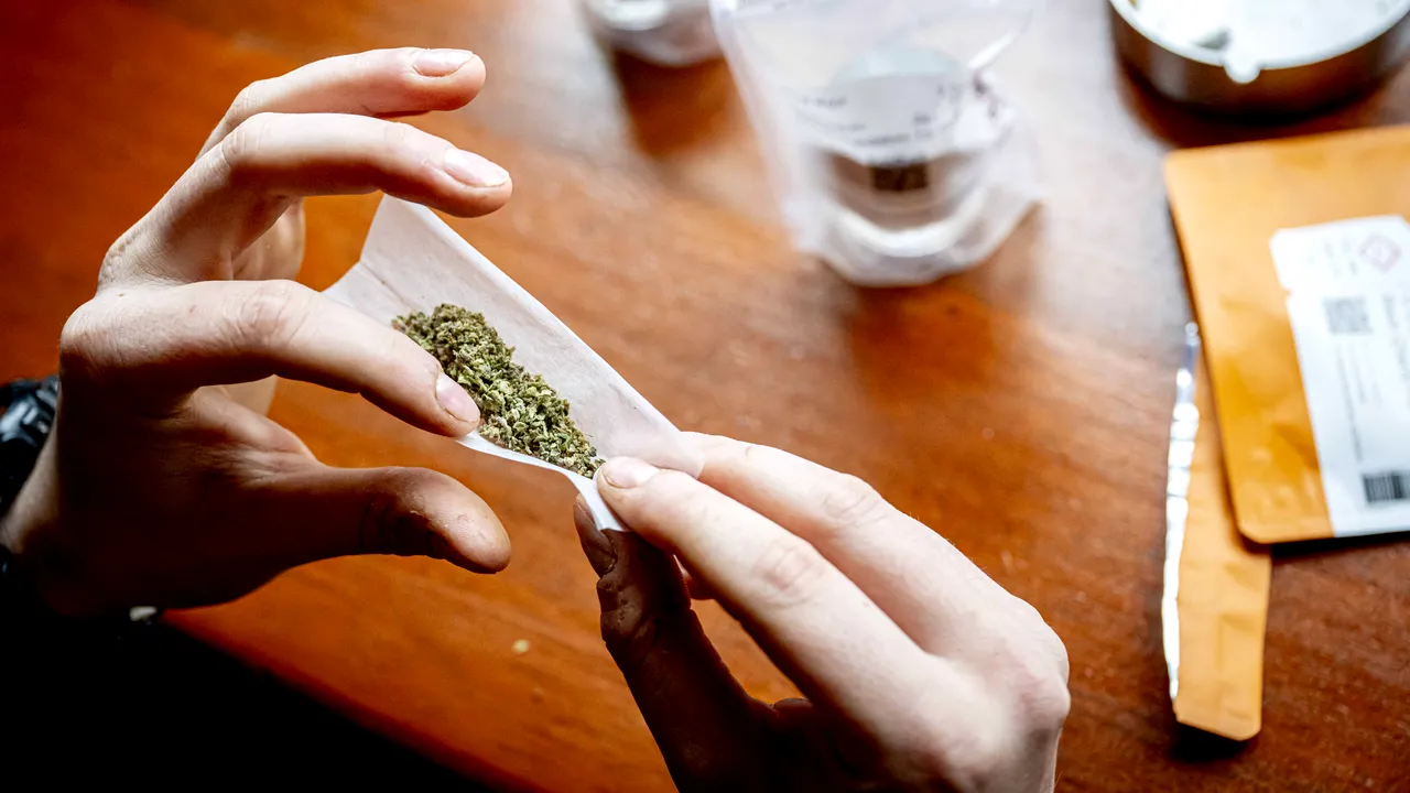 Cluj: Student prins cu peste un kilogram de canabis în camera de cămin