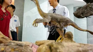 STUDIU: Primele păsări aveau patru aripi 