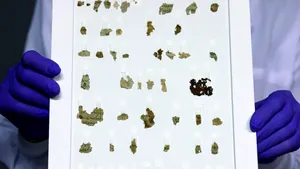 Zeci de fragmente de pergament cu texte biblice au fost descoperite în zona Mării Moarte 