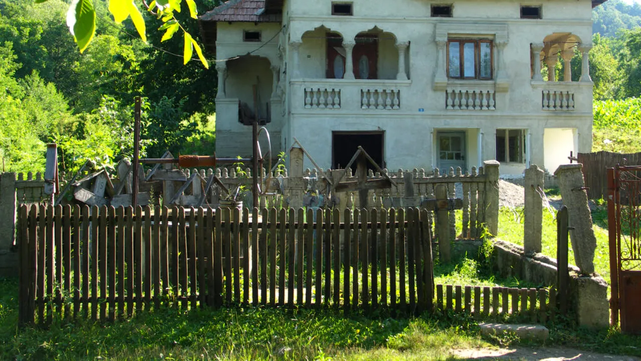 Ce copac nu trebuie plantat niciodată lângă casă? Experții avertizează asupra unui risc grav