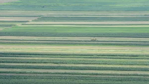 Fermierii lucrează a 6-a suprafaţă agricolă din UE, dar productivitatea este scăzută arată un studiu