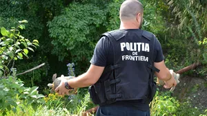 Bărbat cercetat după ce a fost prins când încerca să vândă broaşte ţestoase dintr-o specie protejată - VIDEO