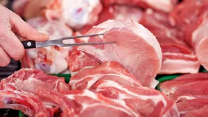 Parlamentul din Coreea de Sud a interzis consumul de carne de câine