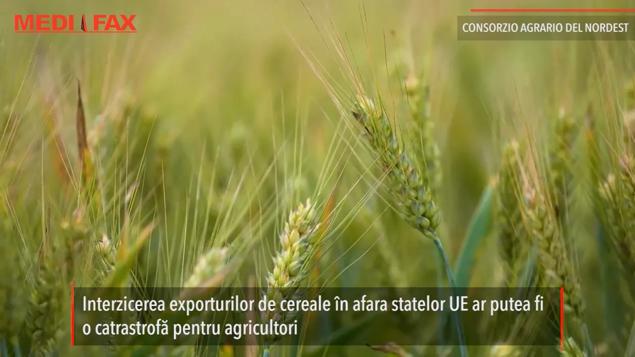 Fermierii români: Nu se justifică interzicerea exporturilor