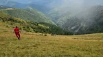 Tragedie în Argeș: Patru morți și un rănit grav după ce o mașină s-a răsturnat într-o zonă montană