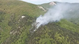 INCENDIU din Parcul Naţional Domogled: Forţe impresionante intervin pentru stingerea flăcărilor